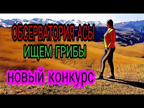 Видео: Плато Асы. Обсерватория. Грибы. Новый конкурс розыгрыш!