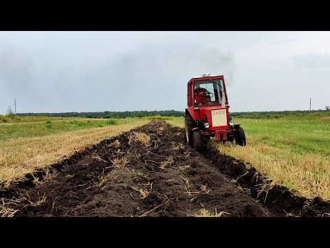 Видео: Як я регулюю плуг за 5 хв, осіння оранка на т 25! Під сидерати на зиму піде)/ oramy ciągnikiem t 25