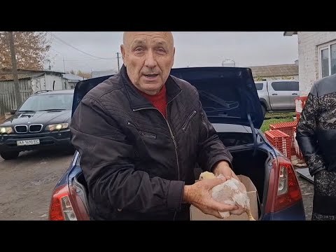 Видео: Нова партія🐔 Ціна та вага підрощеного Бройлера‼️Чому берем підрощеного❓️Випойка-це не вакцина❌️