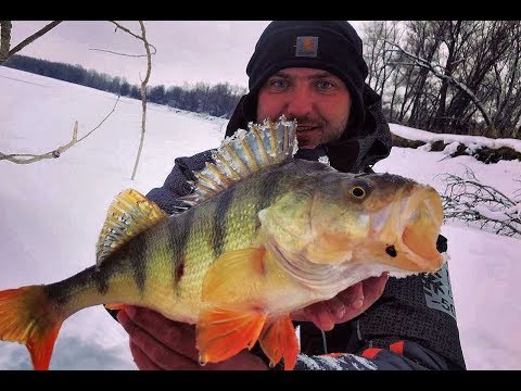 Видео: РЕКОРДНЫЙ ОКУНЬ ВЗЯТ!!!ТРОФЕЙНАЯ РЫБАЛКА!Рыбалка на Оби,Килограммовый окунь.безмотылка.