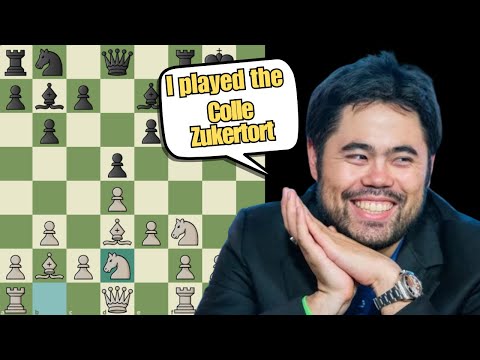 Видео: Колле Цукерторт ОПАСЕН на всех уровнях!!