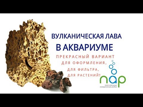 Видео: Вулканическая лава в аквариуме.