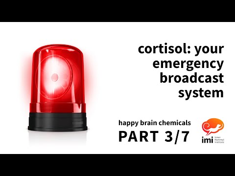 Видео: Кортизол: ваша система экстренной связи (№3 из 7) — счастливые химические вещества мозга