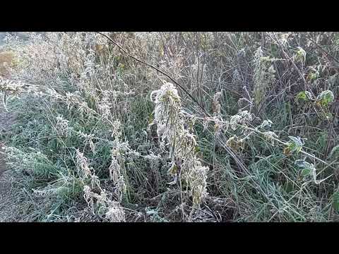 Видео: Пропавшие туристы, плата за риск для экстремалов  и лечение для безработных, новый моральных кодекс