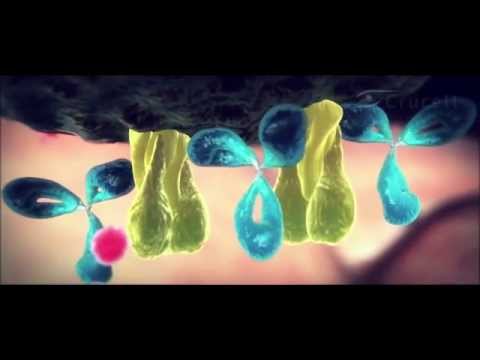 Видео: Моноклональные антитела против гриппа