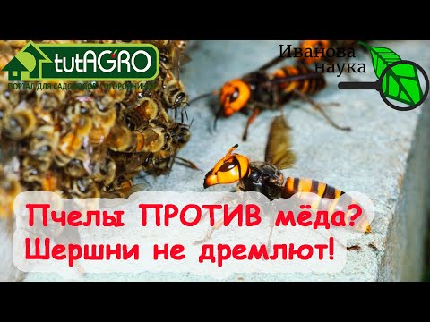 Видео: КРАСНЫМ СТЕРЖНЕМ. ЗОМБИ, МИЗОГИНИЯ и СТОКГОЛЬМСКИЙ СИНДРОМ ОГОРОДНИКОВ. Армагеддон, а не блог!