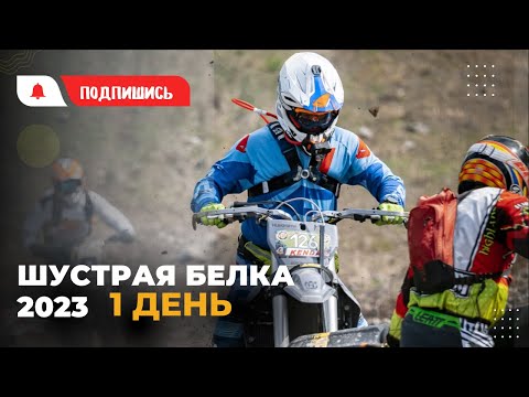 Видео: Шустрая Белка 2023 1 день