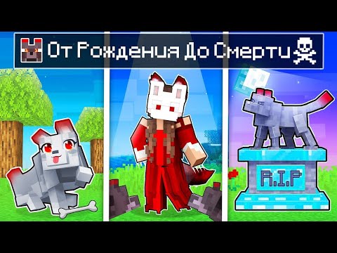 Видео: 😱 Майнкрафт но Оборотень От РОЖДЕНИЯ до СМЕРТИ!