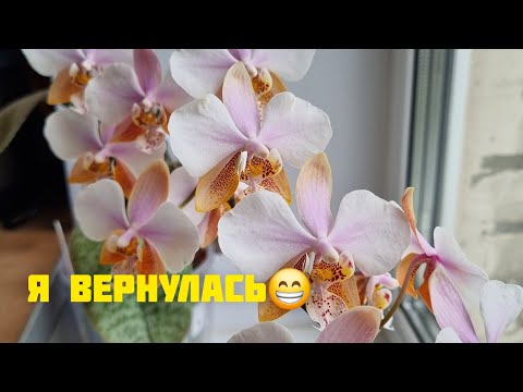 Видео: Как чувствуют себя растения после моего отпуска?) Показываю👌