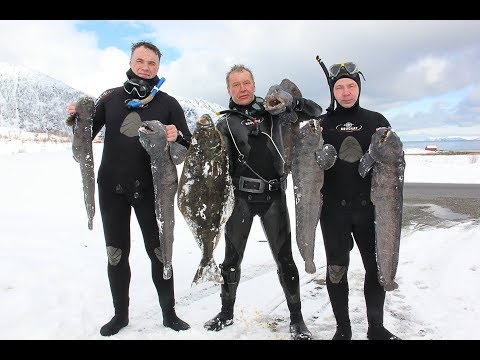 Видео: РЫБАЛКА И ПОДВОДНАЯ ОХОТА В НОРВЕГИИ.Wild Fishing Norway