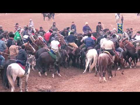 Видео: БУЗКАШИ. Муборакшо  Пахлавон дар майдон. УЛОК