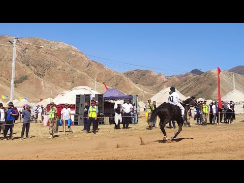 Видео: #атчабыш #кунанчабыш #жорго салыш #алышкурош #алай