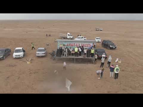 Видео: Қызан ауылы 26. 08. 2023 Аламан бәйгі #alamanda #mangistau #kazakhstan