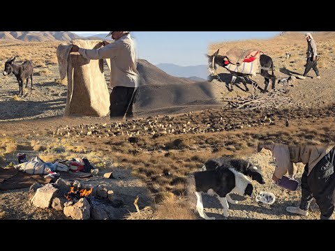 Видео: Моменты, которые никто не видел | Сопровождение стада во время короткой ночной миграции