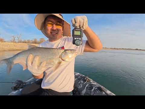 Видео: РЫБАЛКА НА ЖЕРЕХА🎣ОСЕНЬ-25✨️РЕКА ИЛИ 🌊