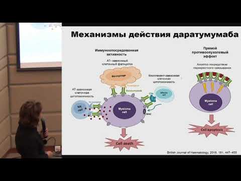 Видео: Салогуб Г.Н., Современные иммунотерапевтические подходы в лечении множественной миеломы.