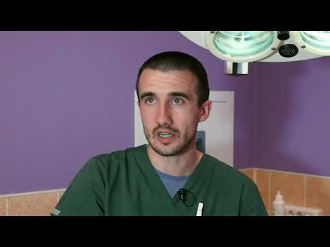 Видео: Стерилизация собак. Часть 4.   Что будет после стерилизации? Пагубные последствия.