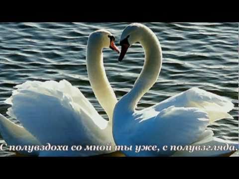Видео: В моих мыслях...живёшь ты...