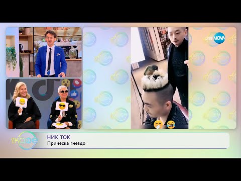 Видео: НИК ТОК: Най-любопитното от социалните мрежи - „На кафе” (24.09.2025)