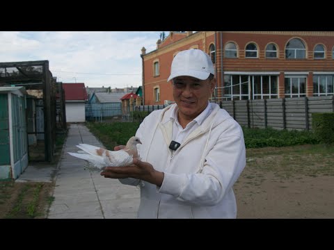 Видео: В гостях у Ахмеджанова Бахытбека Газизовича из семейной династии "Семь братьев"