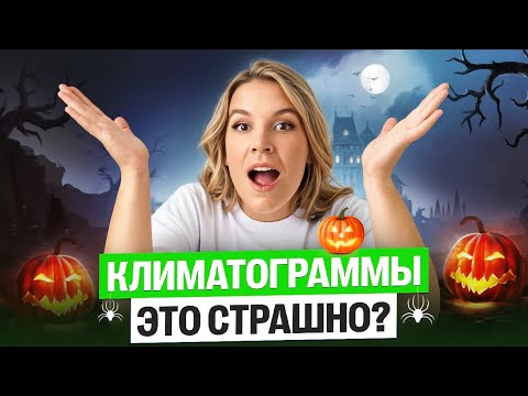 Видео: Разбор ВСЕХ КЛИМАТОГРАММ с ЕГЭ | Полина Белова