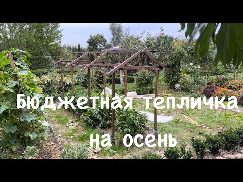 Видео: 122. Бюджетная осенняя тепличка. Пероноспороз огурцов и солнце. Зачем сажать сад?