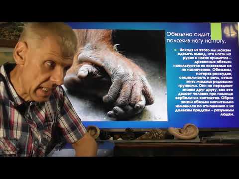 Видео: Зачем человеку ногти? Теория озверения. Александр Белов 14.09.2024 г.