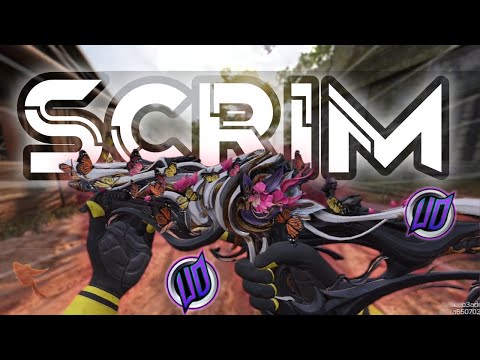 Видео: ПРОФЕССИОНАЛЬНЫЕ СБОРЫ против TEAM UD в CODM... (МЕНЯ ЧУТЬ НЕ УБИЛИ!!!)