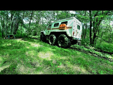 Видео: УВЕЗЛИ НА ПОЛИГРАФ ПРЯМО С ТАЙГИ. НОВЫЙ ЖИЛЕЦ ЗАБЛУДИЛСЯ. Поехал качать МЕД!