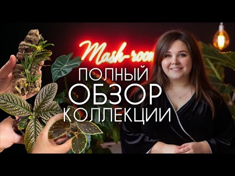 Видео: ОБЗОР ВСЕХ МОИХ РАСТЕНИЙ