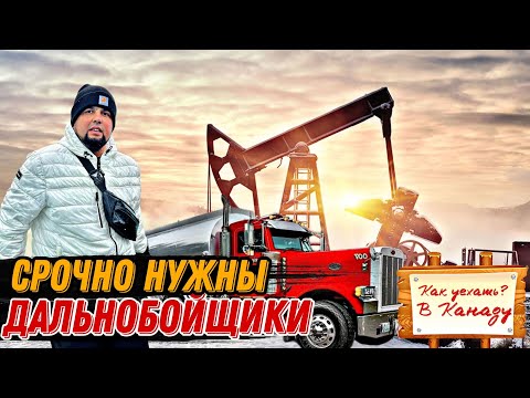 Видео: РАБОТАЙ ДАЛЬНОБОЙЩИКОМ В КАНАДЕ И ПОЛУЧИ ДОКУМЕНТЫ
