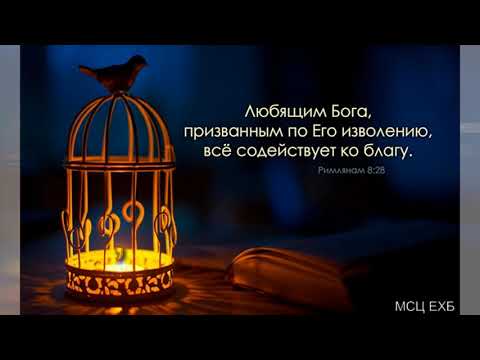 Видео: "Любящим Бога, всё содействует ко благу". А. М. Гантовник. МСЦ ЕХБ.