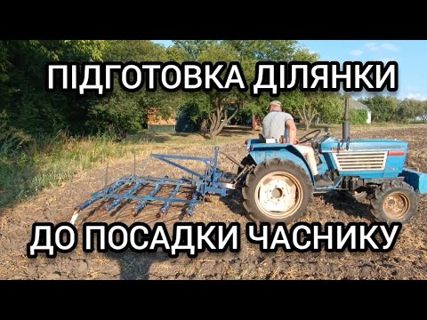 Видео: ПОДГОТОВКА УЧАСТКА ДЛЯ ПОСАДКИ ЧЕСНОКА.
