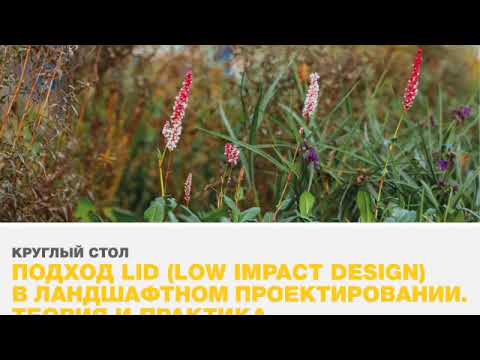 Видео: Лекция Low Impact Design в ландшафтном проектировании