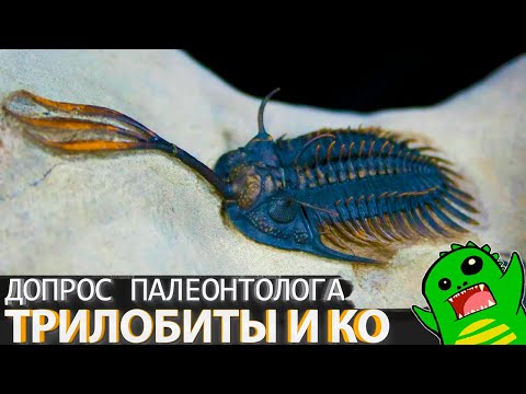 Видео: ТРИЛОБИТЫ И ИХ ДРУЗЬЯ - допрашиваем Эдуарда Мычко!