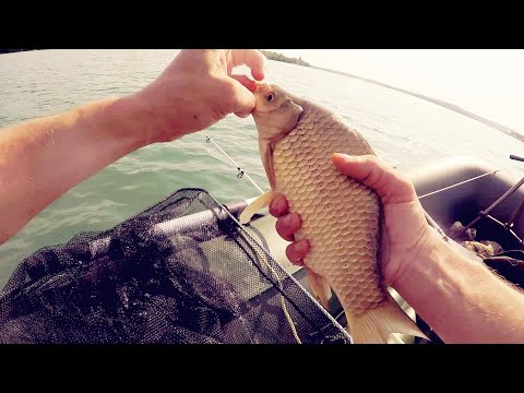 Видео: Рыбалка на донку с лодки на Новотроицком водохранилище.