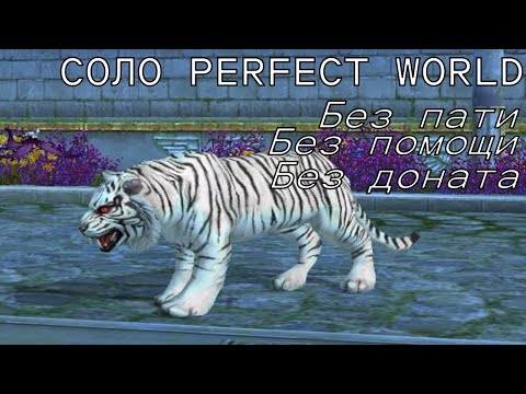 Видео: СОЛО ПВ # 14 / Соло Perfect World # 14