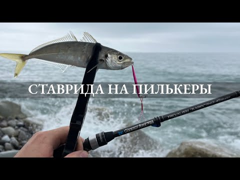 Видео: Ставрида на пилькеры + неожиданный бонус!!! Рыбалка в Сочи весной.