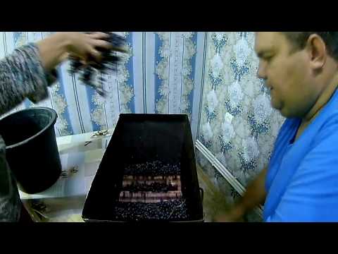 Видео: Домашнее виноделие от А до Я сезон 2019 часть 1