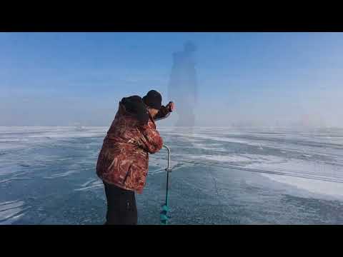Видео: Удачный поиск гигантов ! Настоящий Капчагайский лещ ! Капчагай . Алматы . Рыбалка .