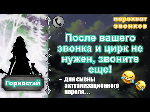 Видео: ГОРНОСТАЙ. После вашего звонка и цирк не нужен, звоните еще!