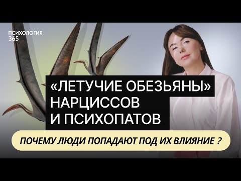 Видео: «Летучие обезьяны» нарциссов и психопатов. Почему люди попадают под их влияние ?