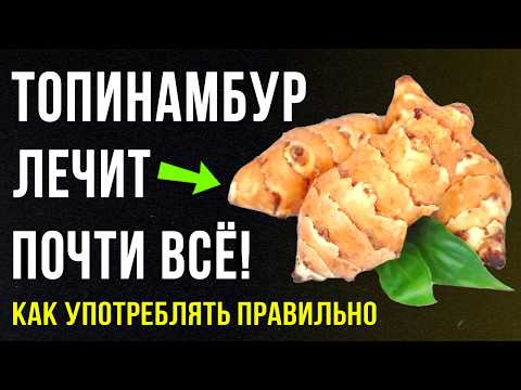 Видео: Врачи скрывали это: топинамбур — секрет молодости после 60 лет! Забудете о давлении, сахаре и запоре