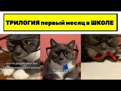 Видео: Комочкин129 МАРАФОН - №128-129-130: ТРИЛОГИЯ первый месяц в ШКОЛЕ