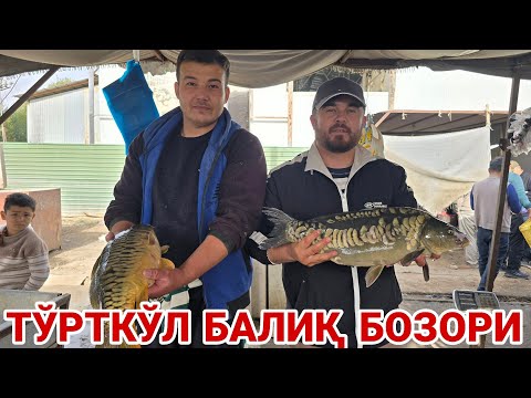 Видео: БУГУН ТЎРТКЎЛ БАЛИҚ БОЗОРИДА БАЛИҚ ЖУДАЯМ КЎП КЎРАМИЗ #xalqbilsin 