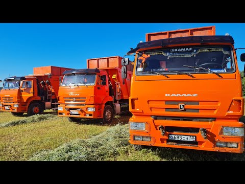 Видео: БАХНУЛО КОЛЕСО😱ПЕРЕОБОРУДОВАНИЕ. ПЕСОК ОКОНЧЕН!!!