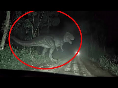 Видео: Последний динозавр, который, возможно, все еще жив, находится в Конго