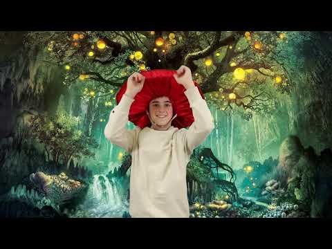 Видео: КАЗКА - "ГРІБКА"