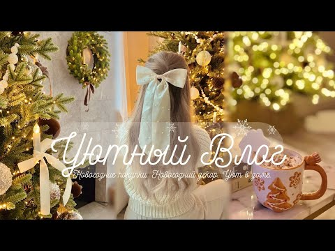 Видео: VLOG I Новогодние покупки, Новогодний декор, уют в доме, много праздничного и интересного I 🌟🎄🎅🏼💫