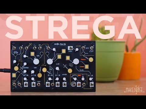 Видео: Make Noise STREGA | Обзор и исследование